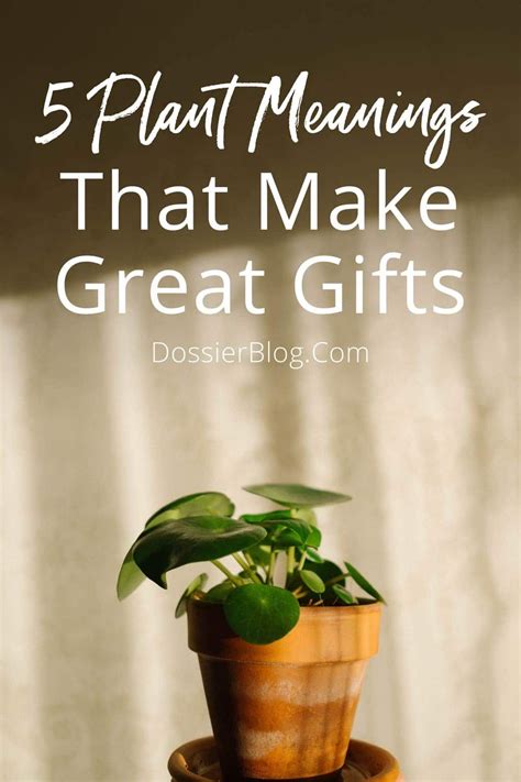 best plants to gift with meaning